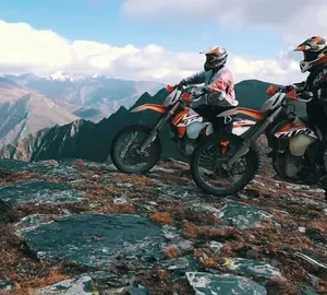 Mounts